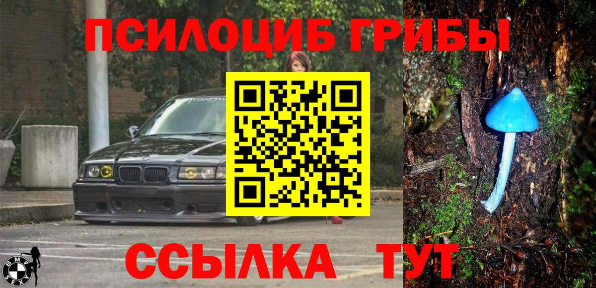 Рыбинск  Псилоцибиновые грибы мицелий  Вход с VPN 